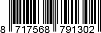8717568791302