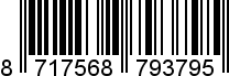 8717568793795
