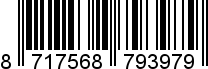 8717568793979
