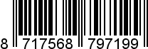 8717568797199