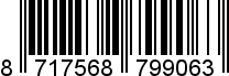 8717568799063
