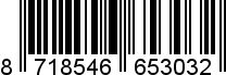 8718546653032