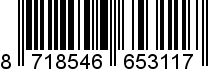 8718546653117