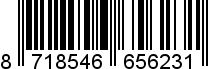 8718546656231