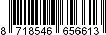 8718546656613