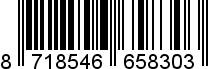 8718546658303
